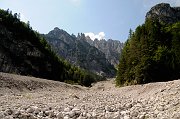 DSC_0520_1