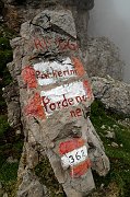 DSC_0286_1