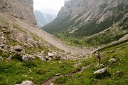 DSC_0301_1