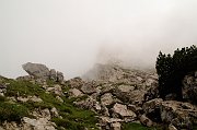 DSC_0314_1