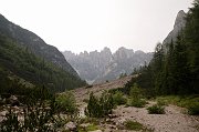 DSC_0334_1