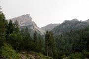 DSC_0339_1