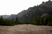 DSC_0358_1