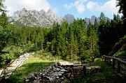 DSC_1159_1