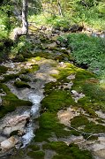 DSC_1184_1