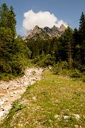 DSC_1193_1