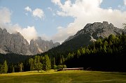 DSC_1225_1