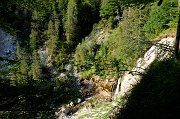DSC_1250_1