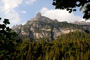 DSC_1266_1