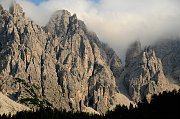 DSC_1306_1
