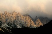 DSC_1341_1