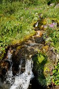 DSC_1980_1