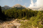 DSC_1993_1