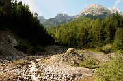 DSC_1996_1