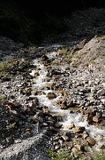 DSC_1997_1