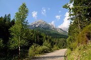 DSC_2003_1