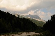 DSC_2009_1