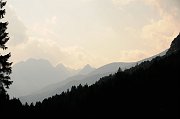 DSC_2011_1