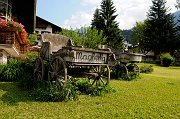 DSC_2015_1