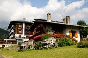 DSC_2016_1