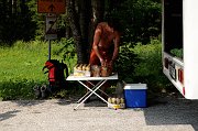 DSC_2025_1