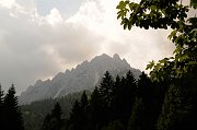 DSC_2031_1