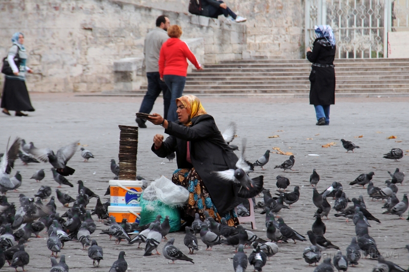 DSC_4237_1.jpg - Na Bayezidově náměstí je holubů jako nikde jinde v Istanbulu. Mezi nimi sedí prodavači krmení.
