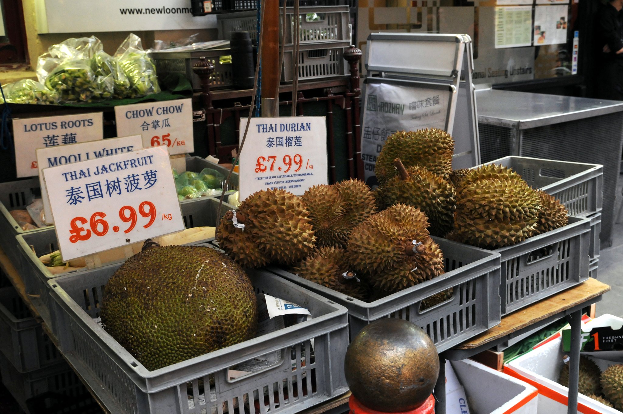 DSC_6066_1.jpg - Durian je u nás znám především jako plod durianu cibetkového (Durio zibethinus). V Jihovýchodní Asii je považovaný za největší pochoutku mezi ovocem. Veliké, těžké, zelené plody pokryté tlustou slupkou plnou pyramidových výrůstků ukrývají krémovitou béžovou hmotu obklopující červenohnědá semena. Zralý plod intenzivně páchne, a proto je například v Thajsku přísně zakázáno cestovat městskou hromadnou dopravou s tímto ovocem.