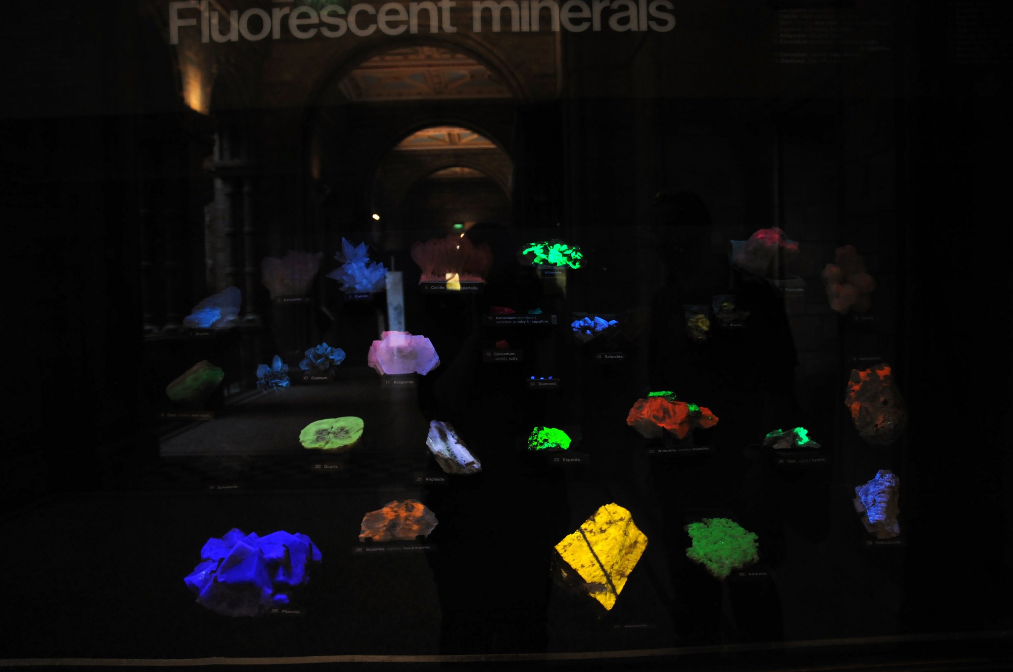 DSC_7414_1.jpg - Fluorescentní minerály v plné parádě. Například Korund (safír, rubín, lukosafír, smirek), Willemit, Hyalit (neboli skelný opál), Sodalit, Diamant, Fluorit, Křemen, Sádrovec, Kalcit, Anhydrit (síran vápenatý) a další.