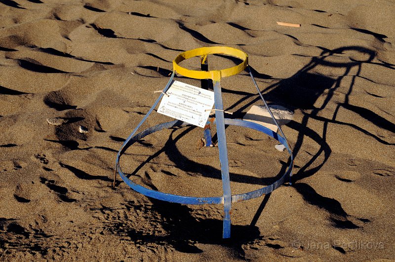 DSC_9691_1.jpg - Pláž Kommos je zajímavá tím, že na ní připlouvají želvy Caretta-caretta (kareta obecná), které zde kladou vajíčka. Tato líhniště jsou na pláží označovaná a velmi bedlivě hlídaná ochránci.