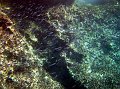 IMG_2747_2