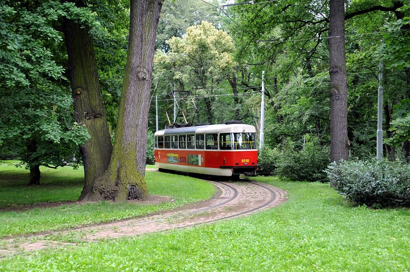 DSC_5616_1.jpg - My si krátíme čekání procházkou po Stromovce. Fascinuje mě tramvaj "uprostřed" lesa :-)