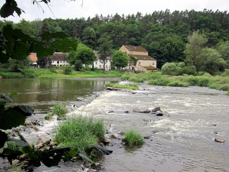 IMG_0240_1.jpg - Dobře, jezík....