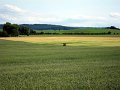IMG_0069_1