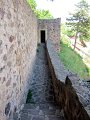 IMG_1146_1
