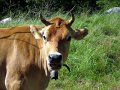 IMG_1182_1