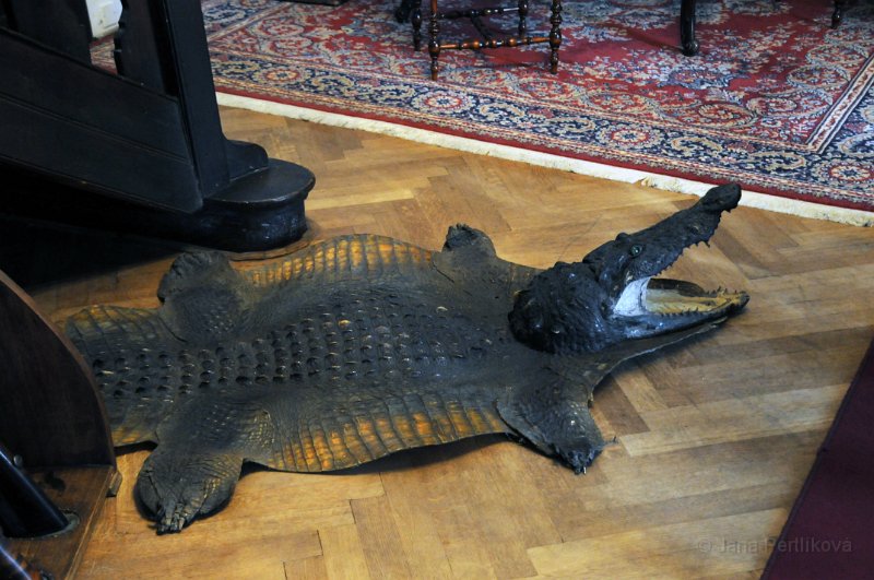 DSC_3281_1.jpg - Kůže krokodýla nacházející se v loveckém salónku.