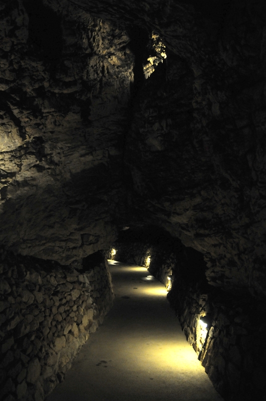DSC_9664_1.jpg - Jde o výtokovou jeskyni řeky Punkvy, která v geologické minulosti odtékala z propasti Macocha dosud neznámými chodbami k jihozápadu a Kateřinskou jeskyní vytékala do Suchého žlebu.