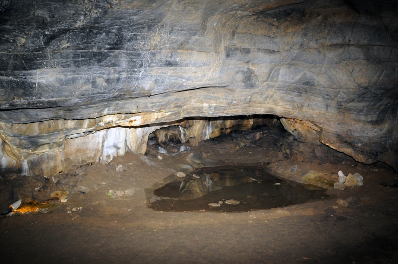 DSC_9678_1.jpg - Kateřinská jeskyně patří mezi pět jeskyní v Moravském krasu, které jsou přístupné veřejnosti.