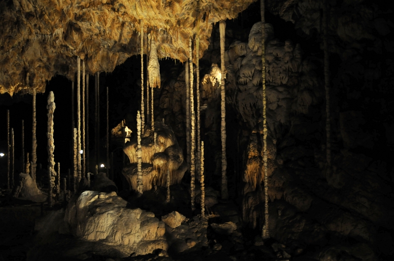 DSC_9695_1.jpg - Dóm chaosu, Bambusový lesík tvořený vzácnými, několik metrů vysokými hůlkovými stalagmity.