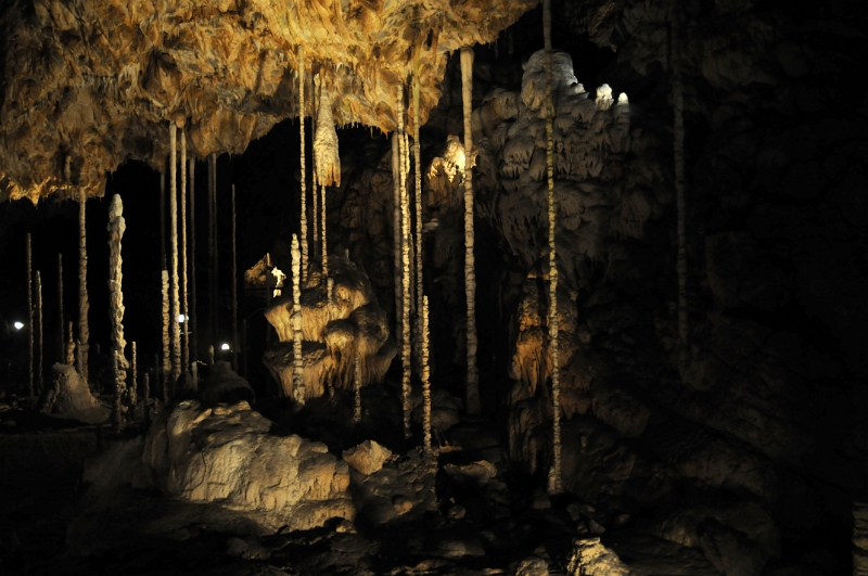 DSC_9700_1.jpg - Dóm chaosu, Bambusový lesík tvořený vzácnými, několik metrů vysokými hůlkovými stalagmity.