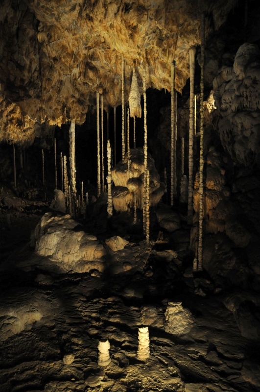 DSC_9715_1.jpg - Tento "Stalagmitový lesík" čítá několik desítek stalagmitů, z nichž nejdelší jsou až 4m vysoké. V lesíku visí střapcovitý stalaktit "Bažant", vzniklý kuželovitým rozplýváním vody, stékající z úzkého praménku u stropu.