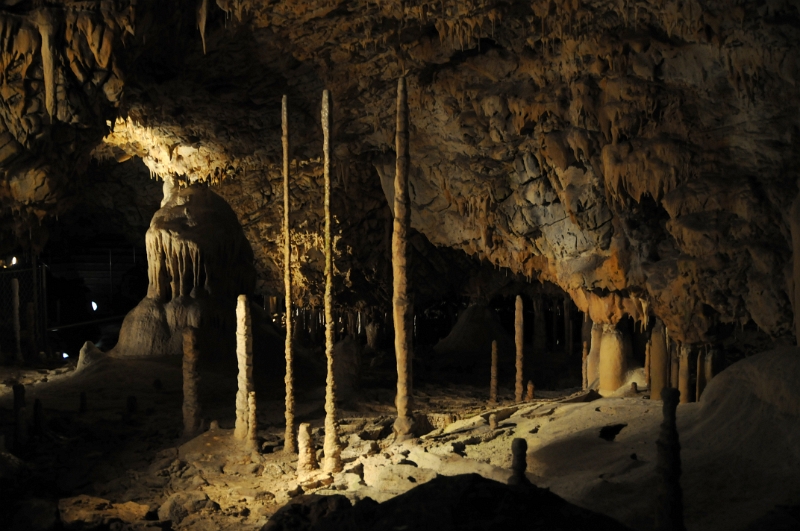 DSC_9734_1.jpg - Dóm chaosu, Bambusový lesík tvořený vzácnými, několik metrů vysokými hůlkovými stalagmity.