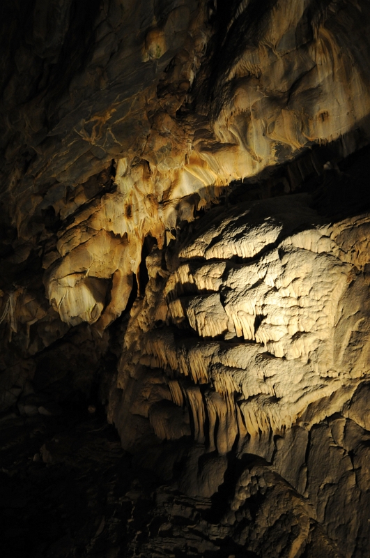 DSC_9802_1.jpg - Kateřinská jeskyně je také významným zimovištěm netopýrů. Jedním z nejvýznamnějších v Moravském krasu.