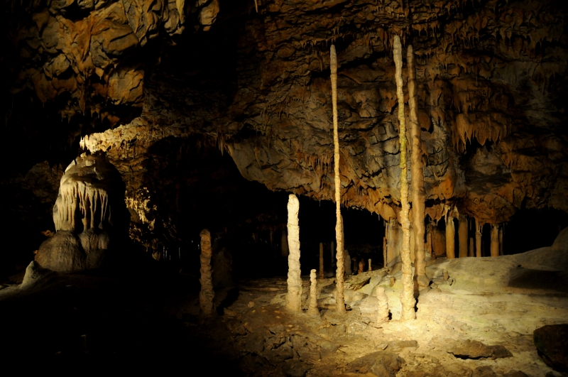 DSC_9839_1.jpg - Dóm chaosu, Bambusový lesík tvořený vzácnými, několik metrů vysokými hůlkovými stalagmity.