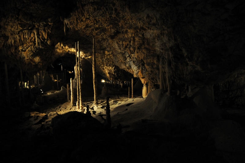 DSC_9842_1.jpg - Dóm chaosu, Bambusový lesík tvořený vzácnými, několik metrů vysokými hůlkovými stalagmity.