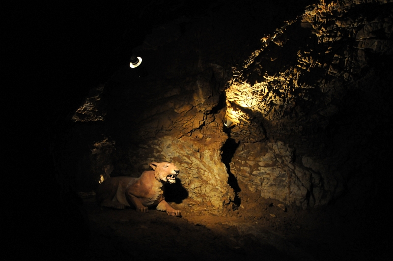 DSC_8825_1.jpg - Medvědí síň - model lva jeskyního.