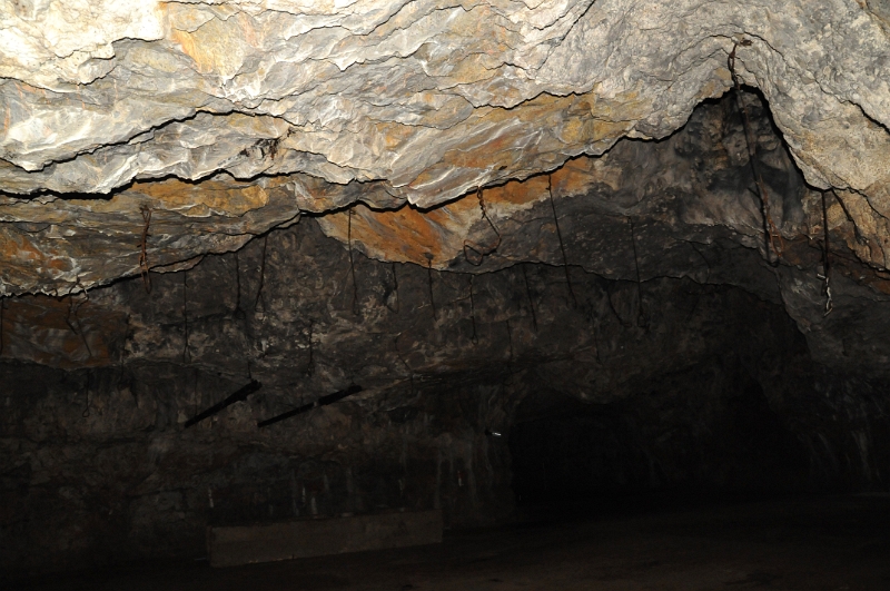 DSC_9043_1.jpg - Heinzova síň