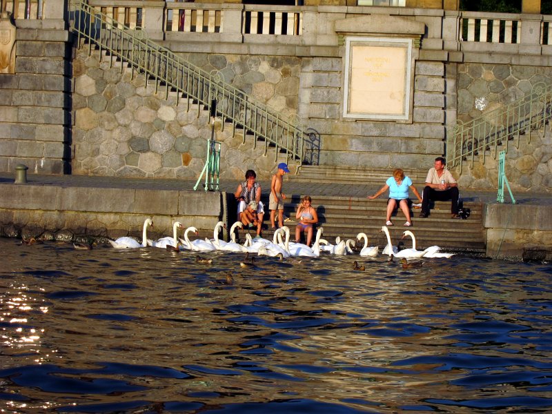 IMG_1284_1.jpg - Přijíždíme blíže k centru, kde se na náplavkách pohybují pražané i turisté.... někteří krmí labutě.