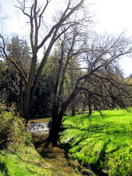 IMG_6626_2.jpg -                                Osou parku je říčka Botič se třemi většími rybníky, skalnatými partiemi, alpinem a loukami v nivě potoka. Na svazích jsou místy přirozené lesy, místy kultury mnoha druhů i vypěstovaných kultivarů dřevin. Úpravou jeho toků a přítoků vznikly příznivé klimatické podmínky pro růst původní i nové flory a společenstev dřevin.
